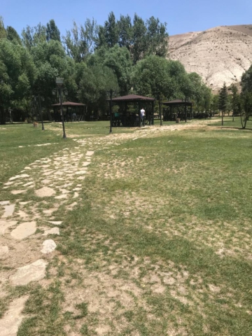 gokpinar-golu-kamelyalar